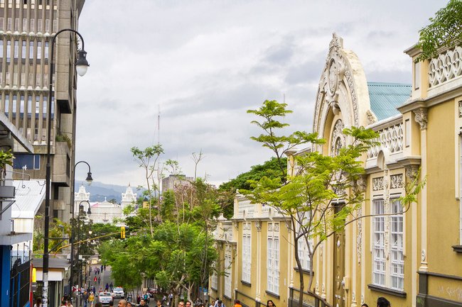 San Jose by Night Food and Culture Photo